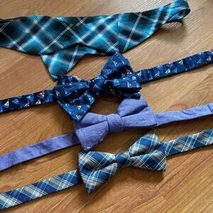 Jos. A. Bank Blue and Purple Bow Ties Set